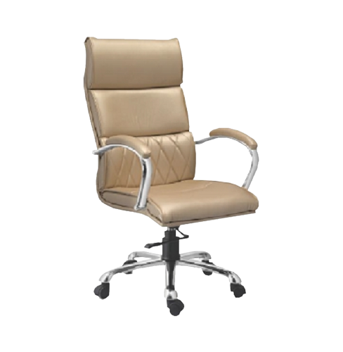 Director Chair